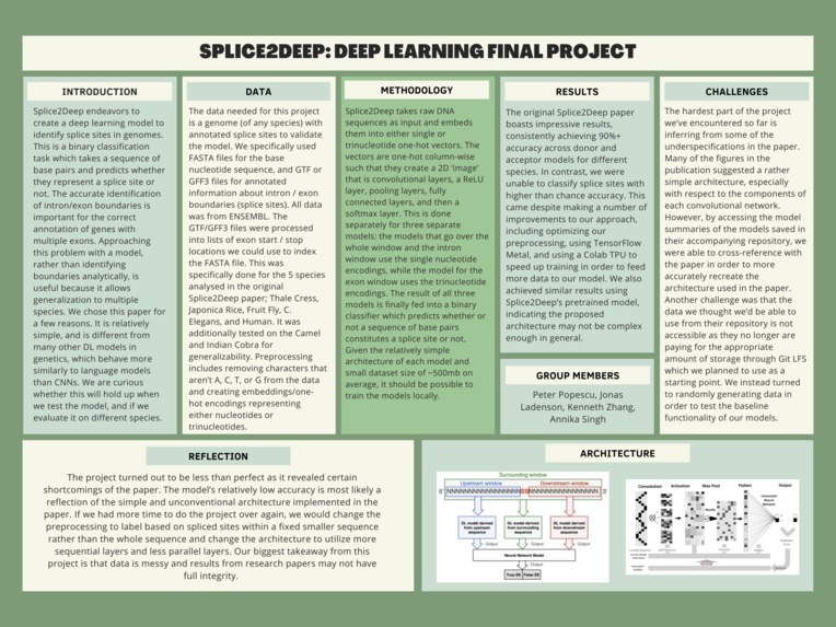 Deep Learning Final Project - Analysis of Splice2Deep | Devpost
