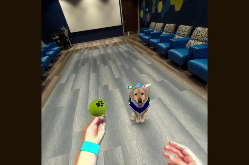 Reality PAWS – screenshot 1