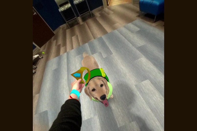 Reality PAWS – screenshot 3