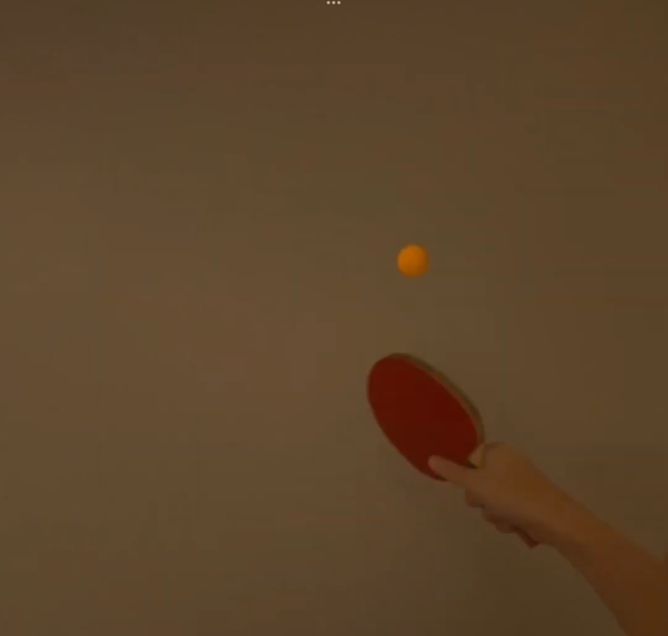 Real Table Tennis Practice – screenshot 1