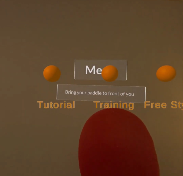 Real Table Tennis Practice – screenshot 8