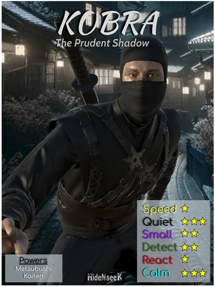 HideNseeK – screenshot 5