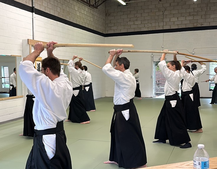 Inner Bushido - Samurai Swordsmanship Simulator – screenshot 22