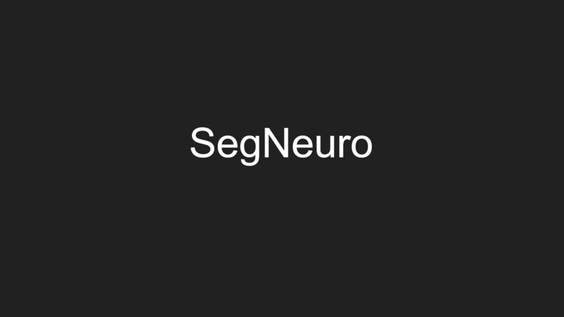 SegNeuro – screenshot 1