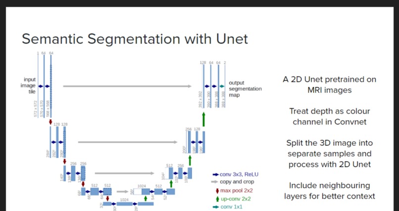 SegNeuro – screenshot 5
