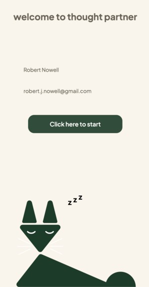 thought partner – screenshot 1