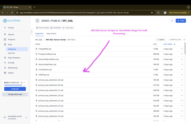 Snowflake Arctic Powered Data Migration Assistant App – screenshot 12