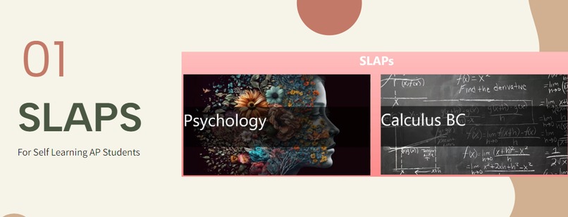 SLAPs – screenshot 3