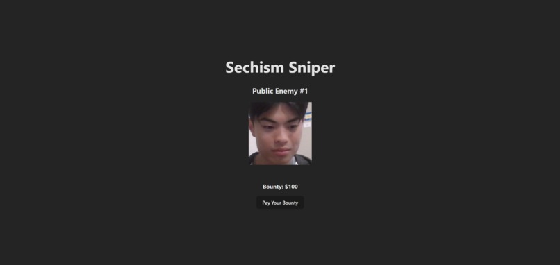 Sechism Sniper – screenshot 5