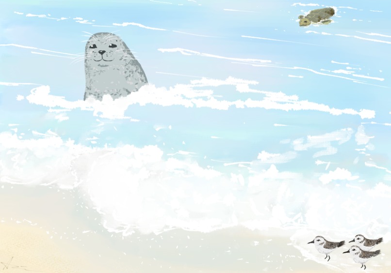 Save the Ocean – screenshot 1