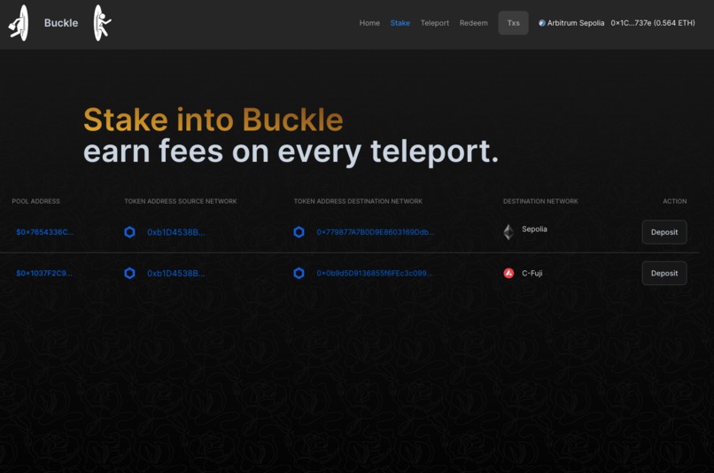 Buckle – screenshot 3