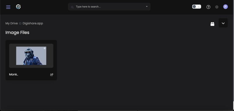 digishare – screenshot 5