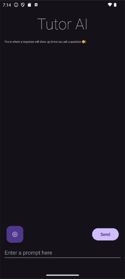 Tutor AI – screenshot 2