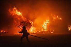 Disasters due to climate change & peventive measures – screenshot 3