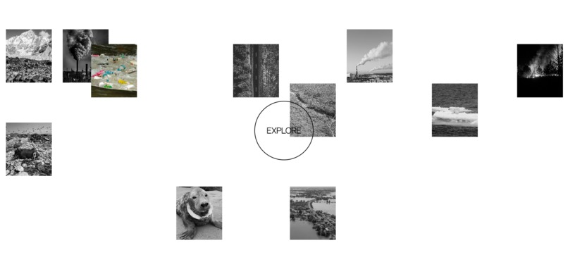 Woodsy – screenshot 7