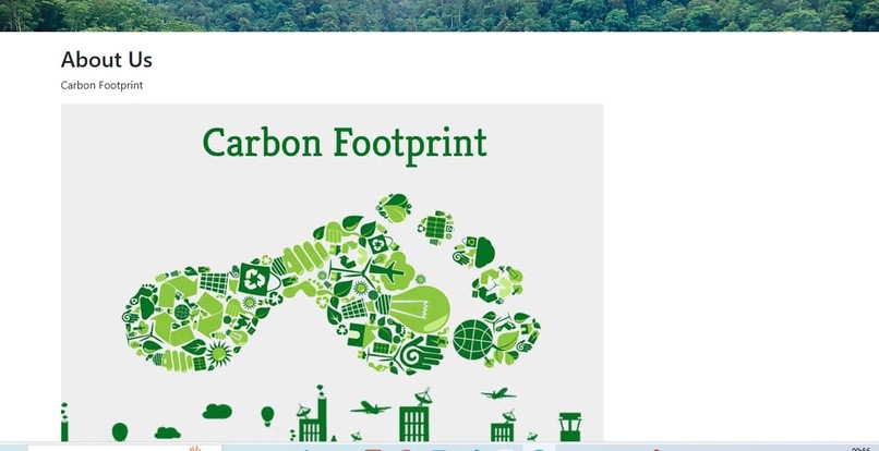 Carbon Footprint Calculator – screenshot 2