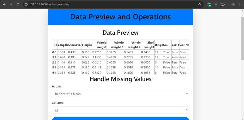 DataOpsWeb – screenshot 6
