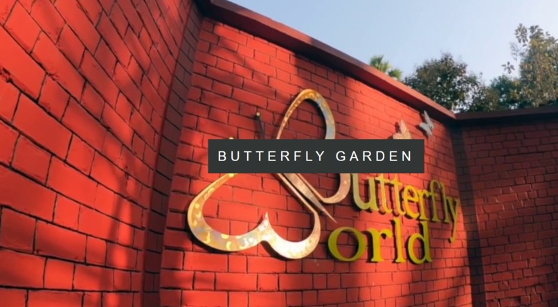 NATURE-L – screenshot 2