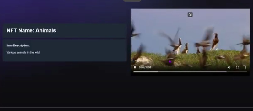 VideoChain – screenshot 1