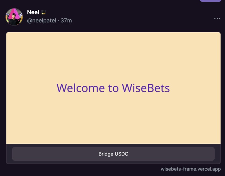 WiseBets  – screenshot 6