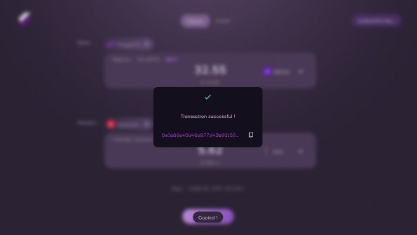 SwapNet – screenshot 11