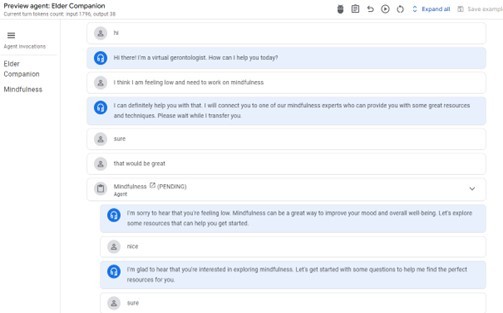 Elder Companion – screenshot 4