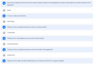Customer Support Agent