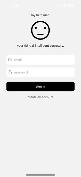 Amica – screenshot 1