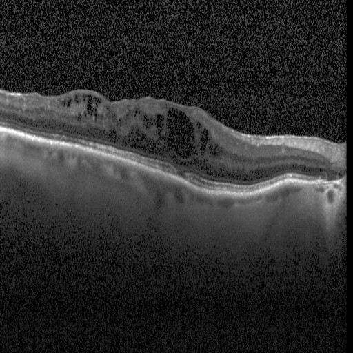 VitalVantage – screenshot 1