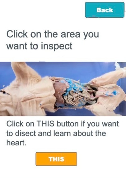 At Home Pig Dissection – screenshot 1