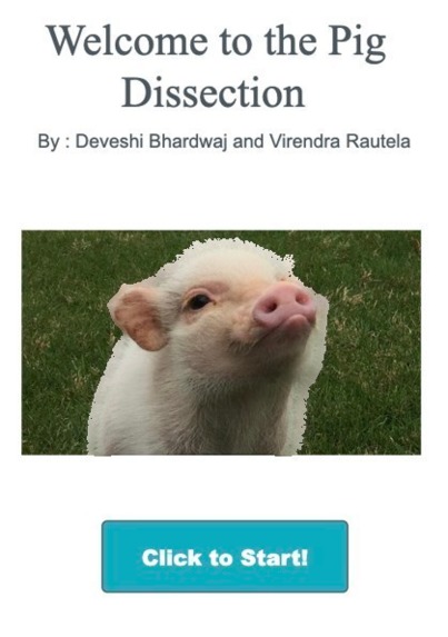 At Home Pig Dissection – screenshot 2