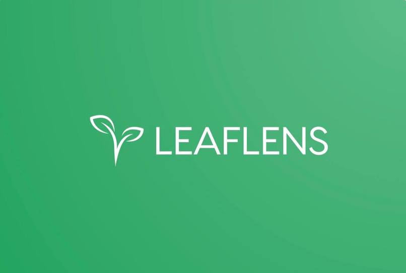 LeafLens – screenshot 1