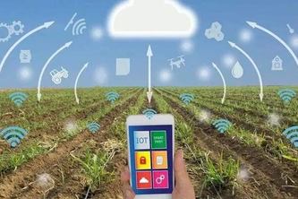Smart irrigation system