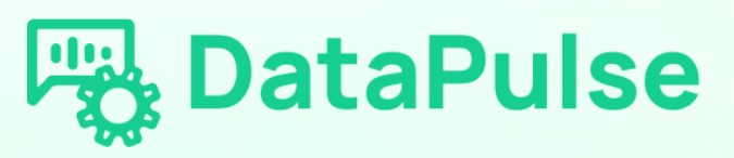 DataPulse – screenshot 1