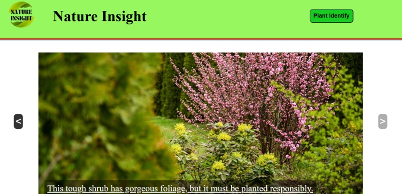 Nature Insight – screenshot 1