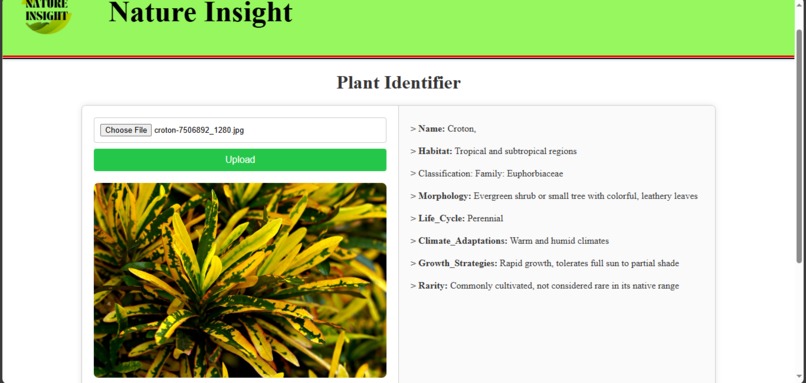 Nature Insight – screenshot 6