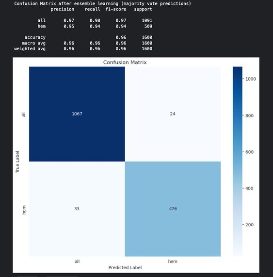 LeukoVision – screenshot 1