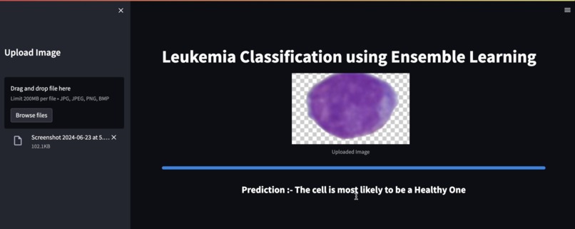 LeukoVision – screenshot 6