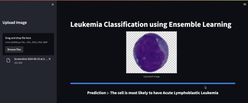 LeukoVision – screenshot 7