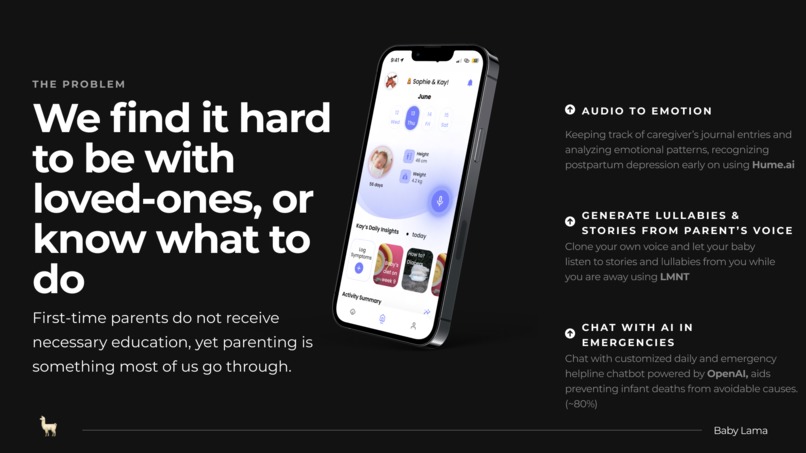 BabyLlama – screenshot 8