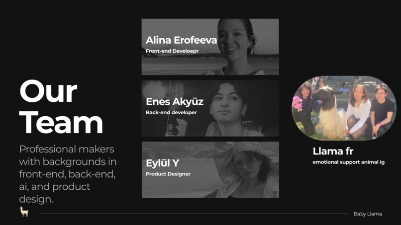 BabyLlama – screenshot 13