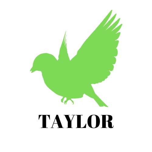 TAYLOR – screenshot 6