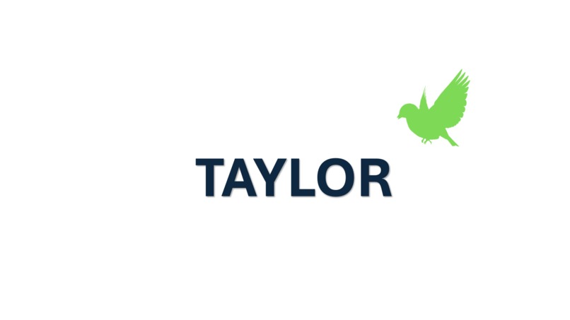TAYLOR – screenshot 1