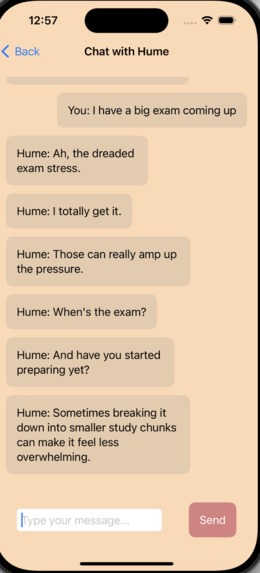 Stress Penguin – screenshot 2