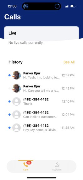 BearPhone - Making Calls Bearable – screenshot 4