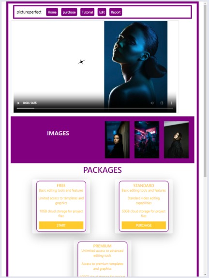 Picture-Perfect – screenshot 5