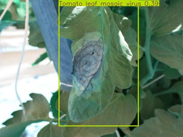 PlantDiseaseDetector – screenshot 3