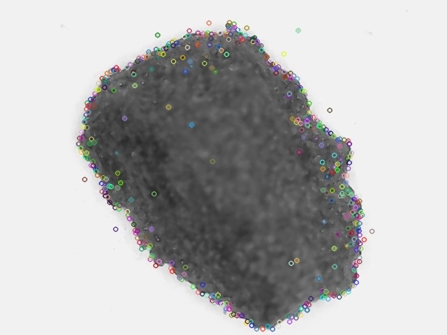 MP-End2End – screenshot 6