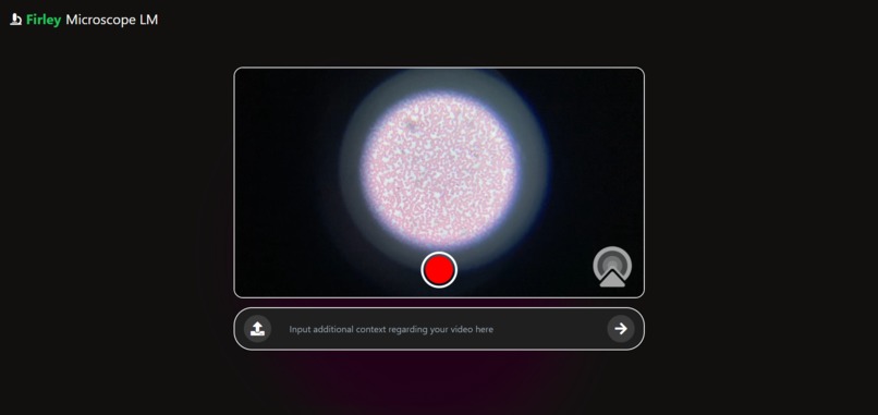 Long Context LLMs for Microscopic Analysis – screenshot 1
