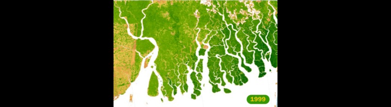 Project Green Roots – screenshot 2